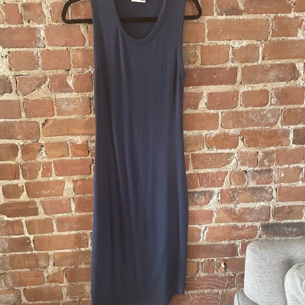 Aritzia - Wilfred free dress